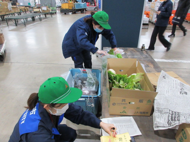 青果市場係のしごとの様子