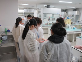 ATPふきとり検査体験の写真