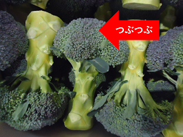 ブロッコリーの写真