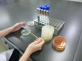 食品の検査をしている写真