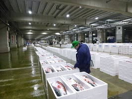 夜間監視の写真