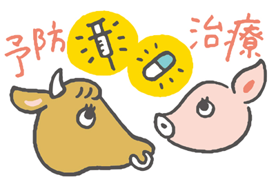 牛と豚、注射器と薬の絵で予防と治療をイメージしたイラスト