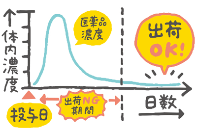 体内の医薬品濃度が一定量未満になるまでは出荷できないことをグラフで表したイラスト