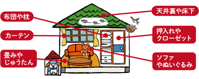 ダニが好む場所　布団や枕、カーテン、畳やじゅうたん、押入れやクローゼット、ソファやぬいぐるみ