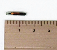 マイクロチップの写真