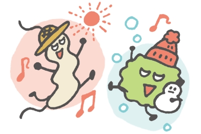 夏場も冬場も活動する細菌のイメージイラスト