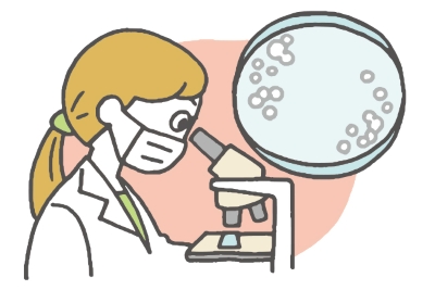 顕微鏡をのぞく女性のイラスト