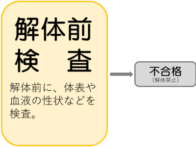 解体前検査　解体前に、体表や血液の性状などを検査