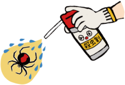 セアカゴケグモに殺虫スプレーを吹きかけるイラスト