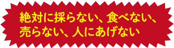 絶対に採らない、食べない、売らない、人にあげない