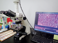 病理検査に使用する機器の写真