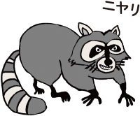 アライグマのイラスト