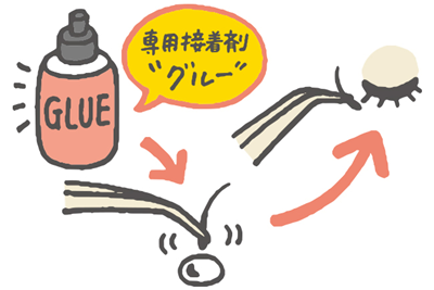 グルーと呼ばれる専用接着剤でまつ毛エクステをつけるイラスト