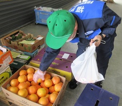 抜き取り中の様子の写真