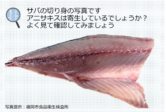 サバの切り身の写真