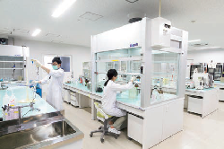 検査風景の写真