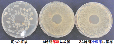 細菌培養した結果の写真。4時間部屋に放置したもの、24時間冷蔵をに保存したもの、いずれも細菌が増殖している。