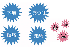 ノロウイルス食中毒の主な症状４つ。下痢、おう吐、腹痛、発熱。