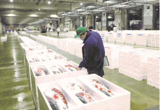 鮮魚市場で監視をしている様子の写真