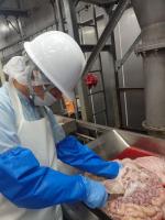 牛の頭部・内臓検査の画像