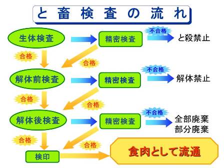 食肉検査の流れについての画像