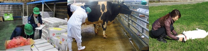 獣医師職場のイメージ