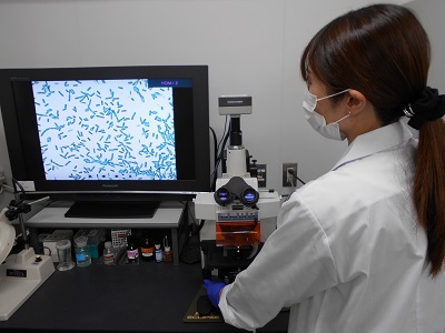 細菌担当の業務
