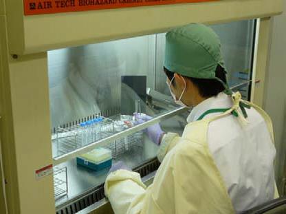 ウイルス担当の業務