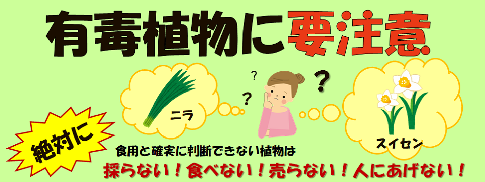 有毒植物に要注意！