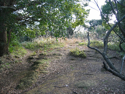 写真：鷲尾城跡