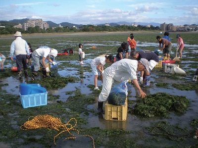 アオサ回収作業の写真