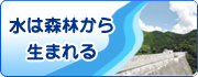 水は森林から生まれる