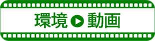 環境動画