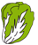 白菜のイラスト