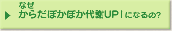 なぜからだぽかぽか代謝UP！になるの？