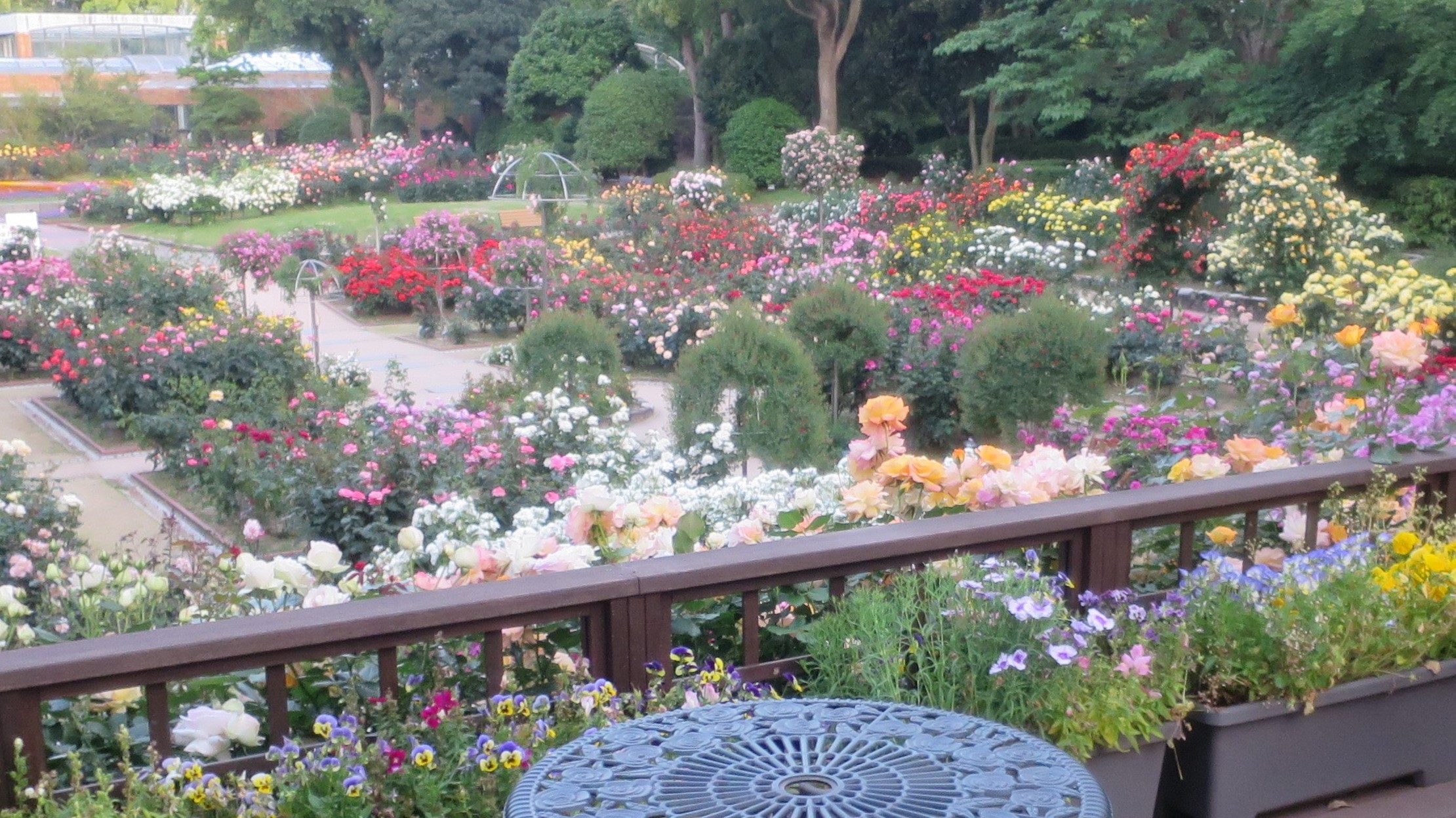 住宅都市局植物園