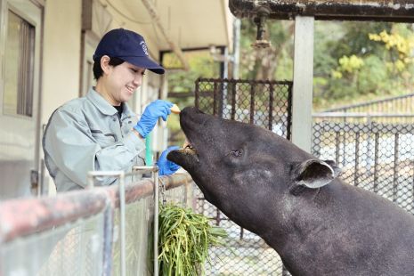 写真、衛生管理動物２