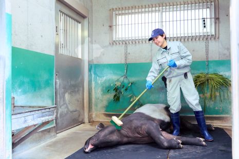 写真、衛生管理動物３