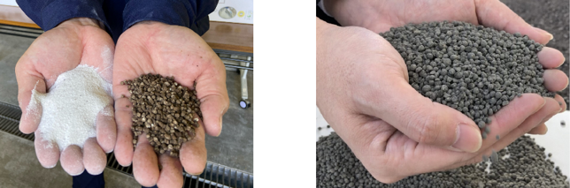 左が下水から抽出したMAP（リン）、右がMAPを利用した肥料