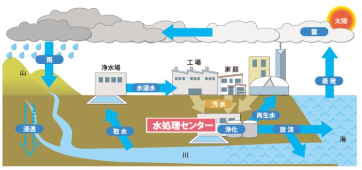 水の循環における下水道