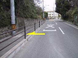 横断防止柵設置後