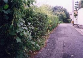 擁壁工事整備前