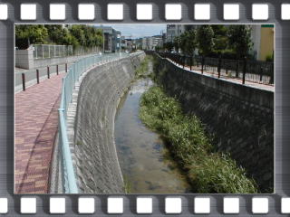 維持管理している道路や河川の写真