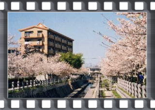 堤リバーパークの写真