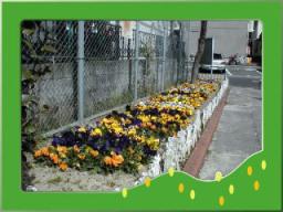 花壇の写真その１