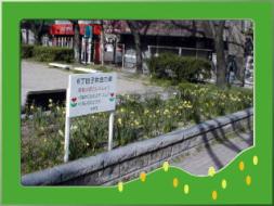 花壇の写真その２