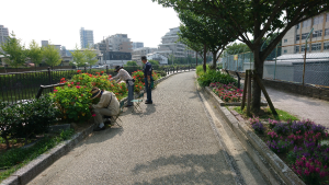 鳥飼花クラブの活動場面の写真1