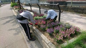 鳥飼花クラブの活動場面の写真2