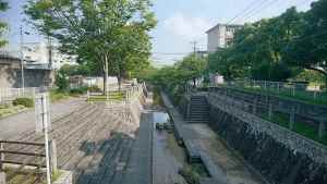 堤団地にこにこ花壇の写真1