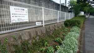 堤団地にこにこ花壇の花壇の写真2